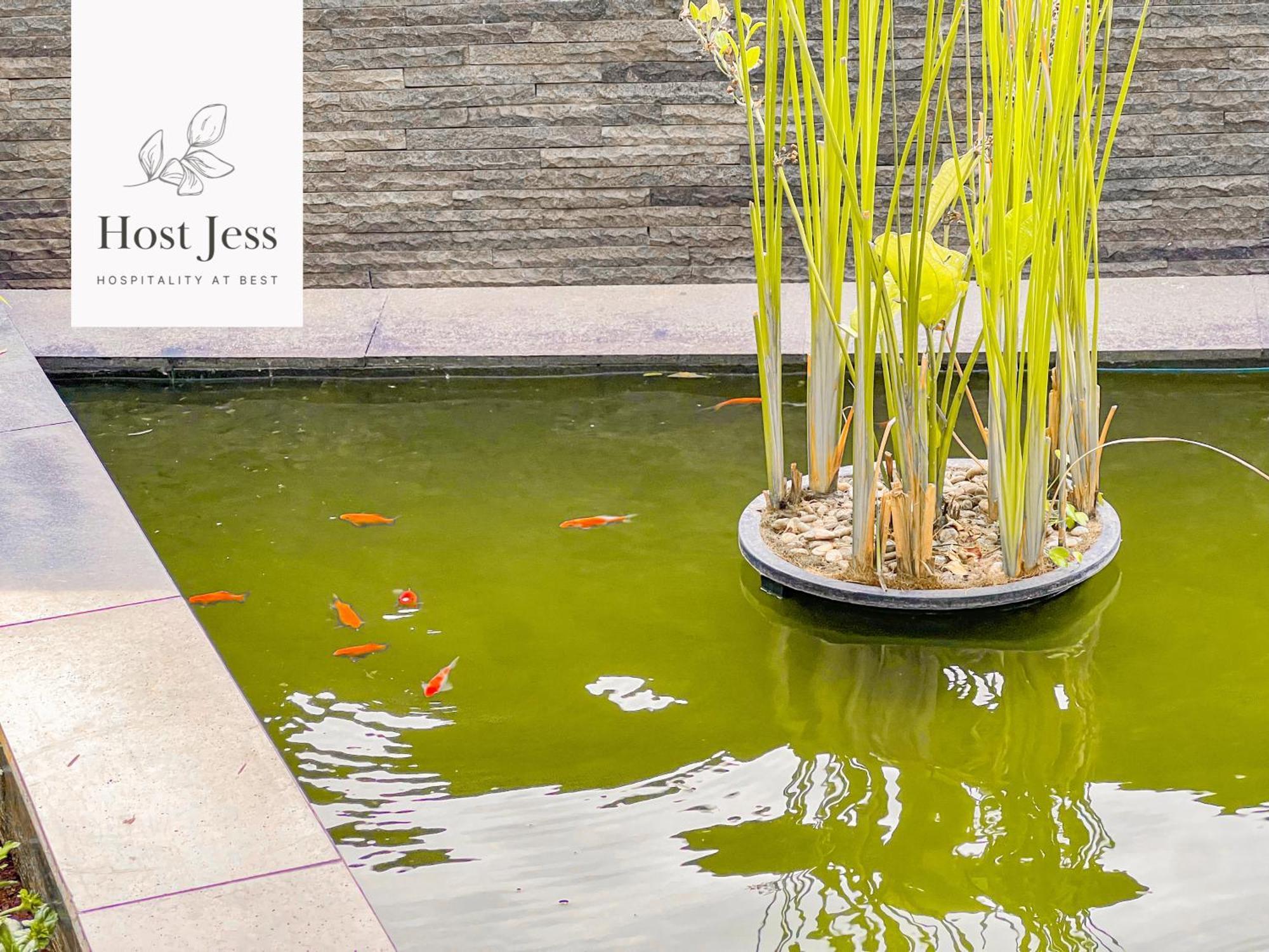 Apartment Gold Coast Pik By Host Jess